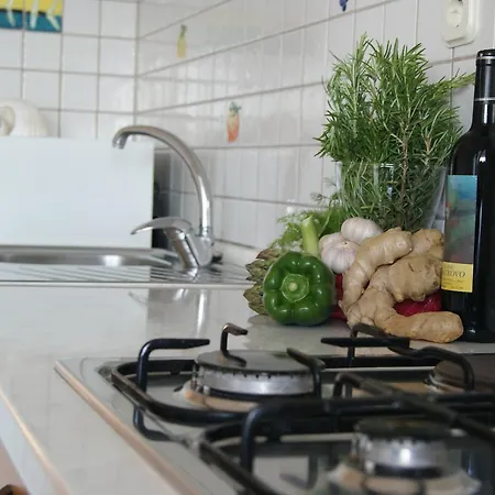 Zavala 553e Apartmán Jelsa (Hvar)