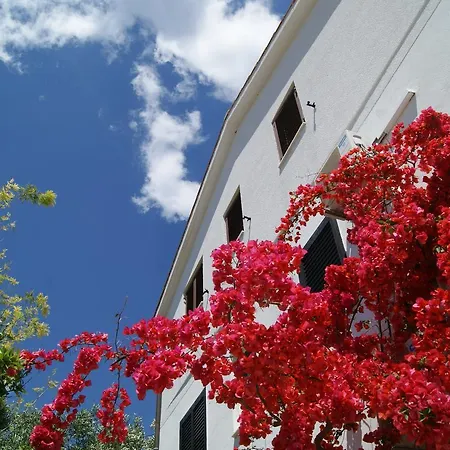 Apartmán Zavala 553e *